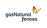 Logo GAS NATURAL FENOSA